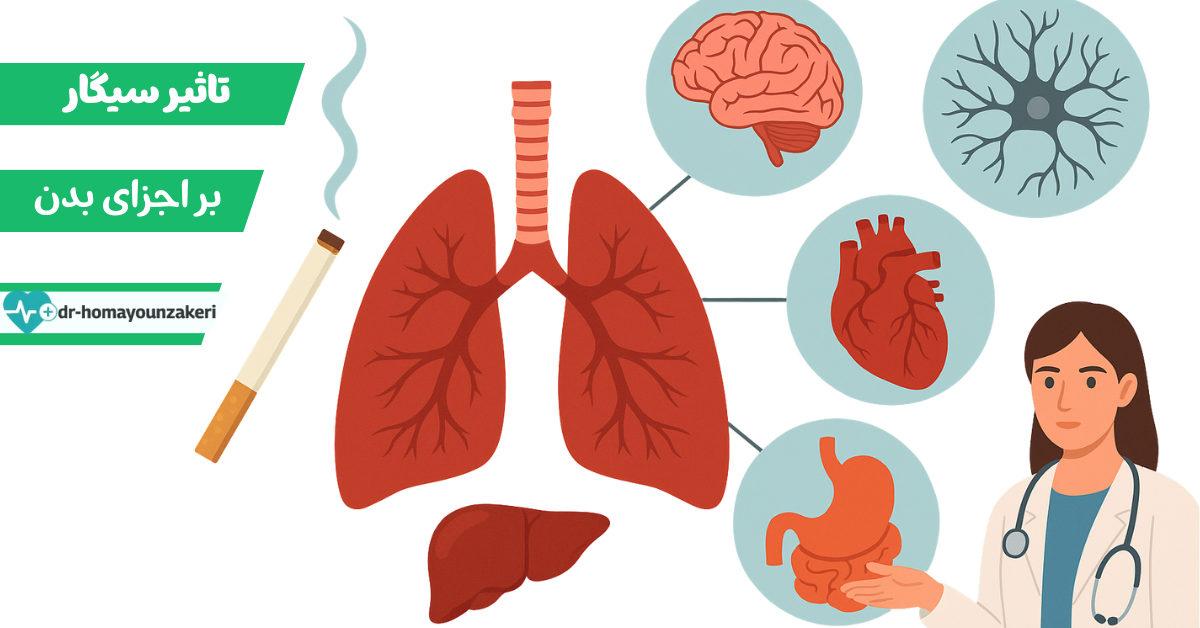 تاثیر سیگار بر اجزای بدن